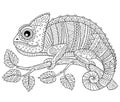 ÃâÃâ¬ÃÆÃÂºVector coloring book for adults, contour chameleon on a branch isolated on white background. Patterns and small details fo